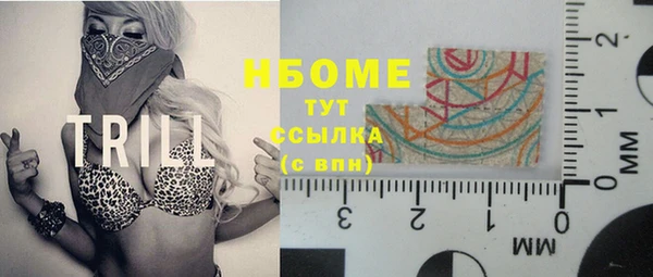 гашик Алексеевка