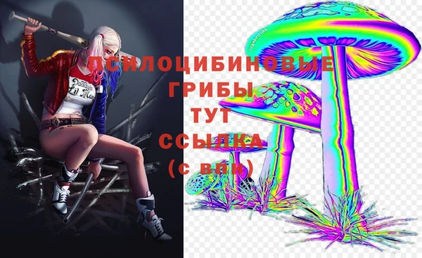 гашик Алексеевка