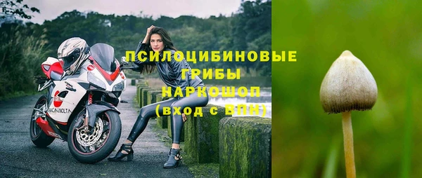 гашик Алексеевка