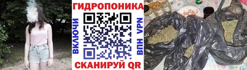 Шишки марихуана план Коркино